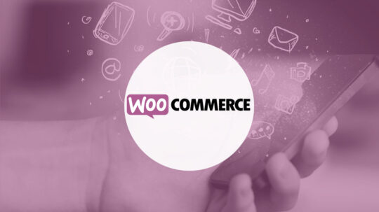 Versiones anteriores de Woocommerce (Sitio de descarga)